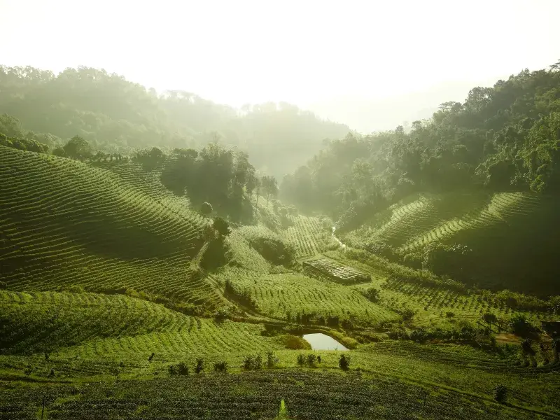 Best Solo Travel Tips for Newbies: Tips to Prepare for Your First Solo Trip