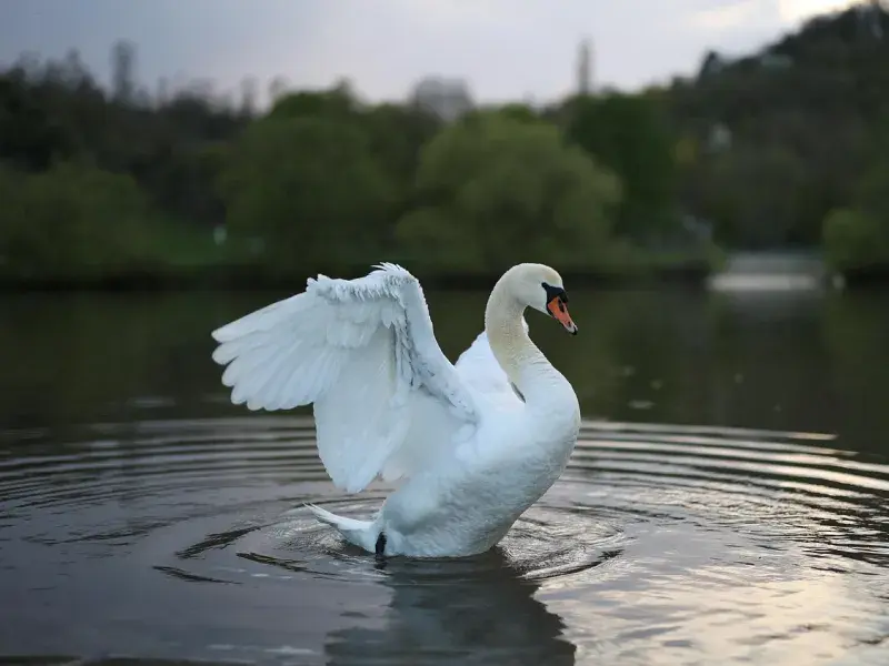 How Women Solo Travel in Their 40s